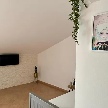 Apartment Franko Povljana